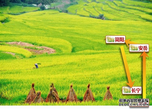 种粮大户的心里话 规模种粮的两个疑问三道坎