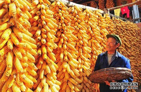 2013年我国农民收入增速将超7.5％