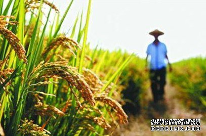 国家粮食局:各级粮食部门加快推进秋粮收购