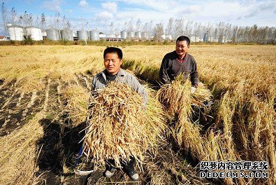 解读三中全会《决定》有关农村改革