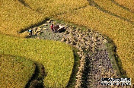 我国城乡建设用地有望同地同权同价