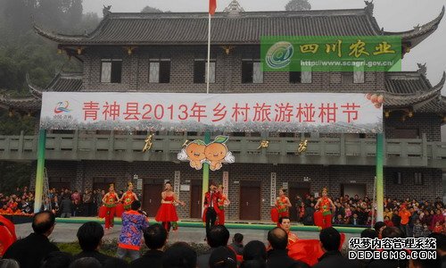 青神2013乡村旅游椪柑节开幕迎客