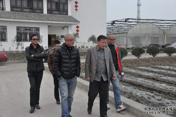 省农发会调研组到德阳市东升农场进行实地调研
