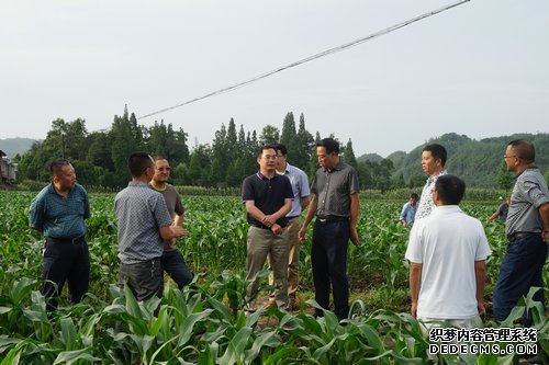 省农业厅牟锦毅副厅长在眉山成都调研当前农业工作