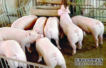不许关猪场！国土部、农业部力挺养殖业！