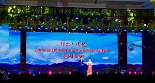 2018年四川杰出村官等名单出炉