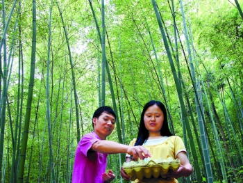 点击浏览下一页
