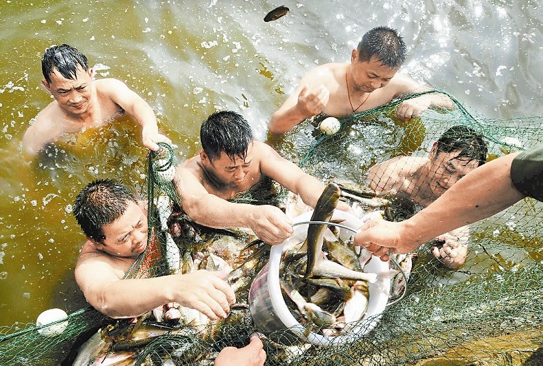 点击浏览下一页