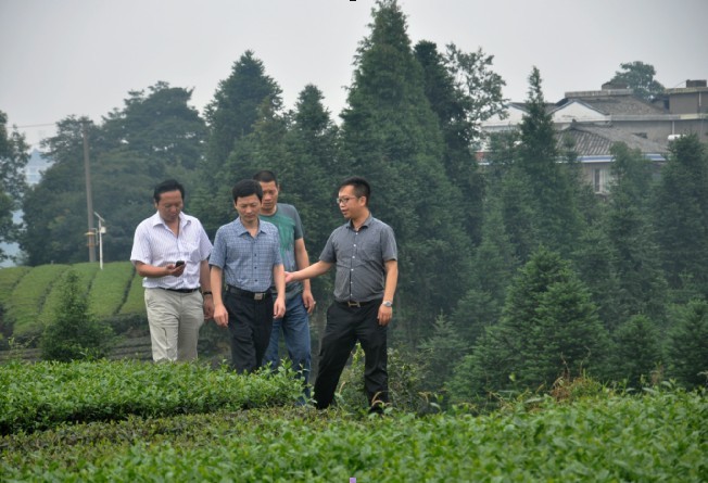 点击浏览下一页