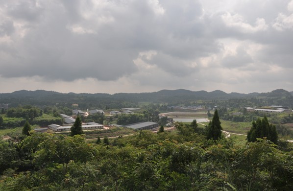 点击浏览下一页