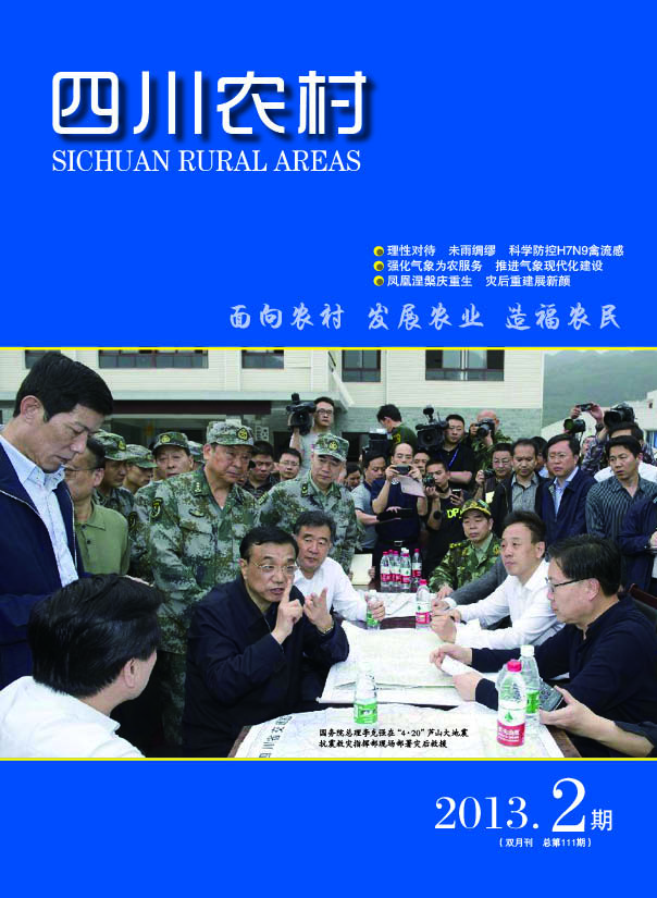 2013年第2期