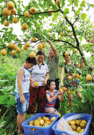 点击浏览下一页