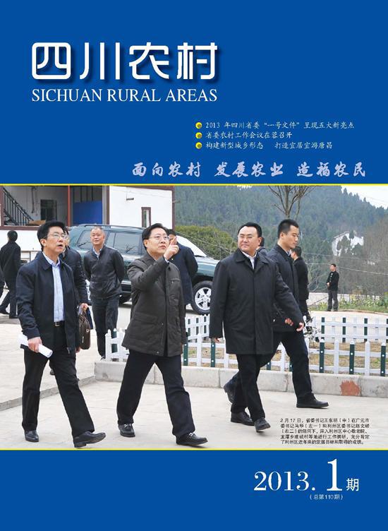 2013年第1期