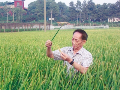 点击浏览下一页