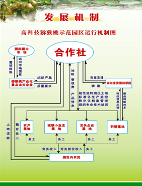 点击浏览下一页