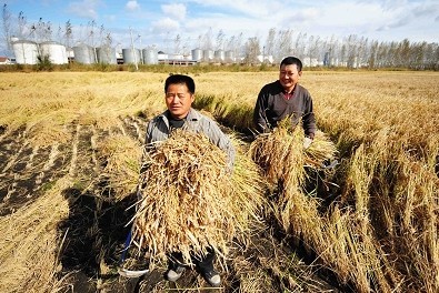 点击浏览下一页