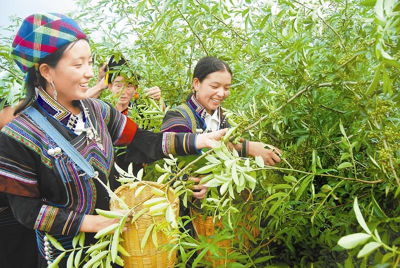 点击浏览下一页