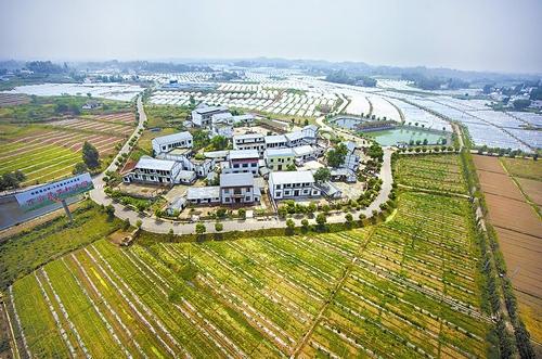 点击浏览下一页
