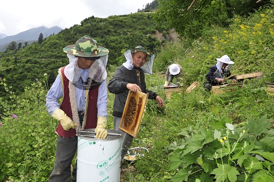 点击浏览下一页