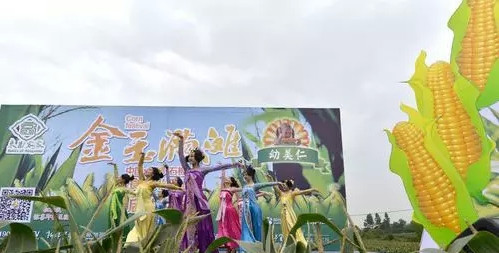 点击浏览下一页