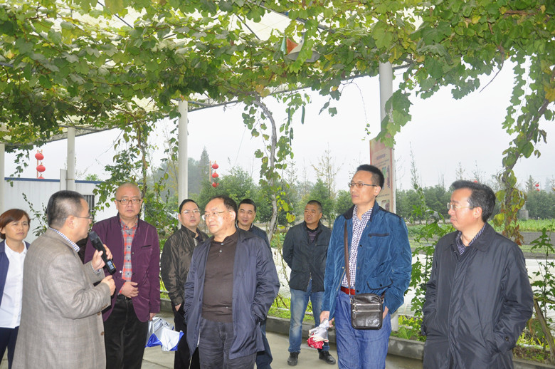 点击浏览下一页
