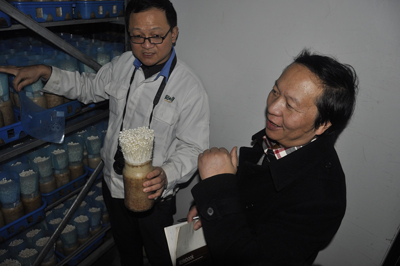 点击浏览下一页
