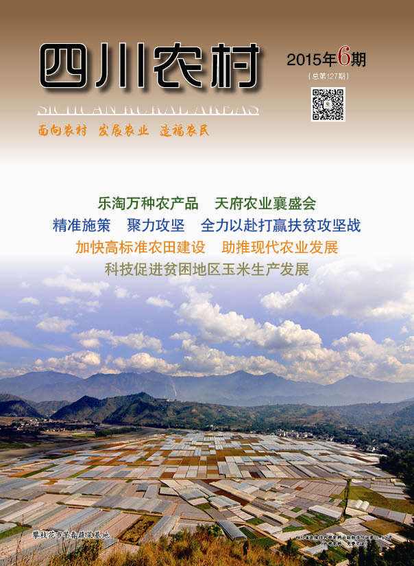 2015年第6期