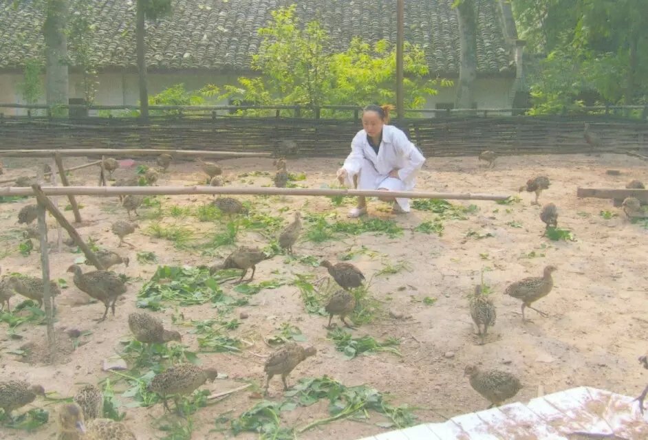 点击浏览下一页