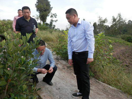 点击浏览下一页