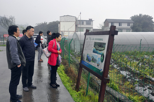 点击浏览下一页