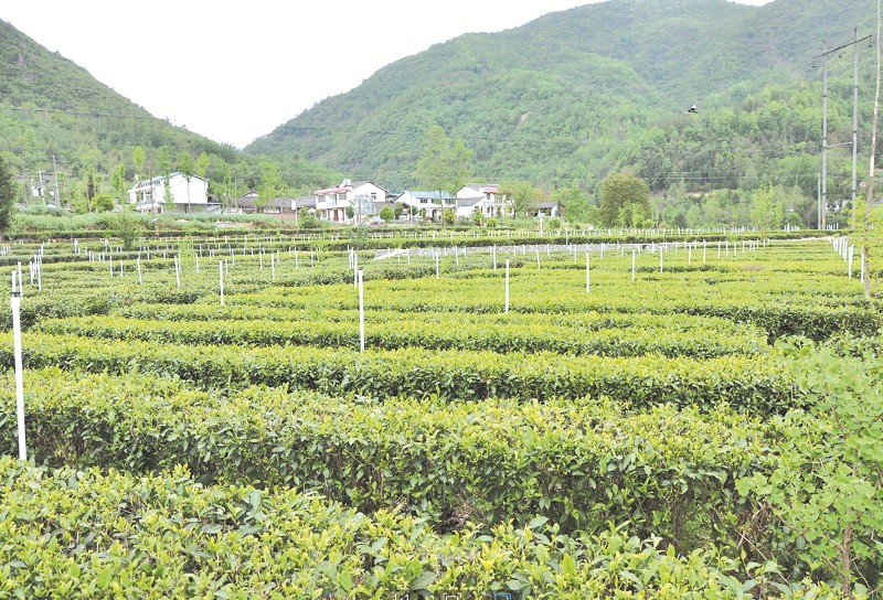点击浏览下一页