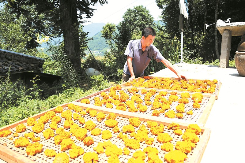 点击浏览下一页