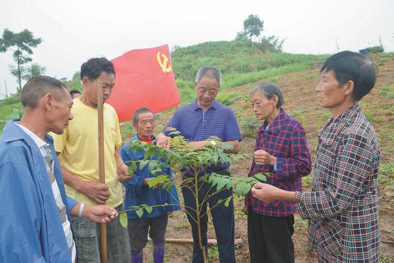 点击浏览下一页