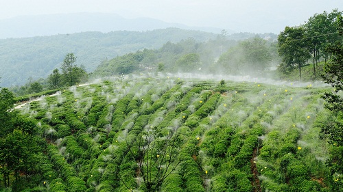 点击浏览下一页