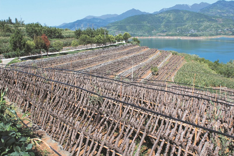 点击浏览下一页