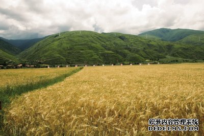 垫起现代农业发展的坚实台阶