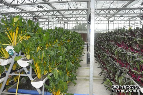 深入开展调研   助力农村改革