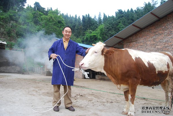 三十四年孕育“中国南方第一牛”