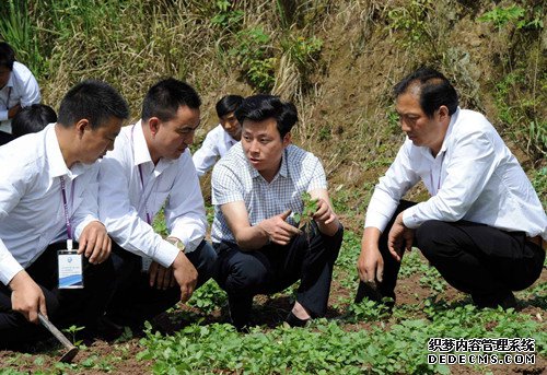 达州：三位创业者的扶贫故事