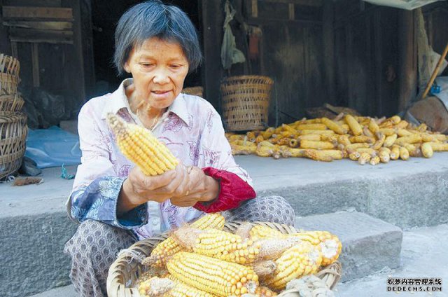 “粽粑好人”吴全珍 13年捡废品替夫还债