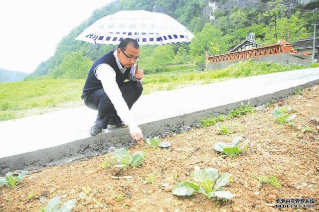 “小助理”建农场成就“大梦想”