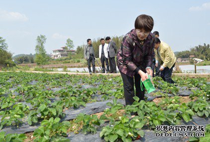 对话宜宾市委副书记吕晓莉