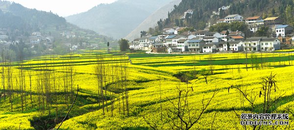 广元市朝天区：幸福之花在大山深处美丽绽放