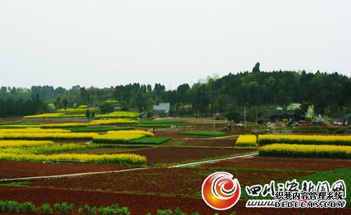 [绵阳]三台：2011年民生水保治理完成初建任务