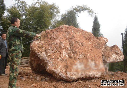 江油三合镇左家庙村：挖出石龟 重达30吨