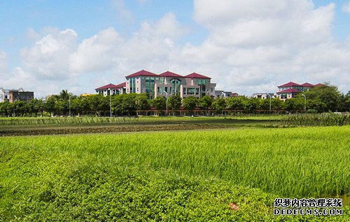 简阳市整体推进新农村建设