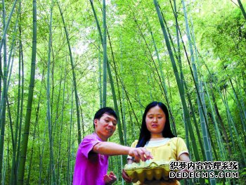 南充竹产业开发经验全川推广