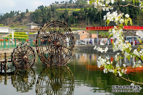 千里嘉陵行 最忆苍溪绿