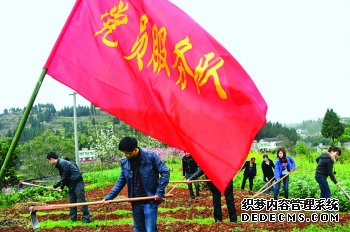 党员进村助春耕 躬耕垄亩为民情