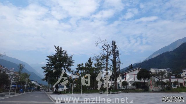 美丽街灯照亮山乡